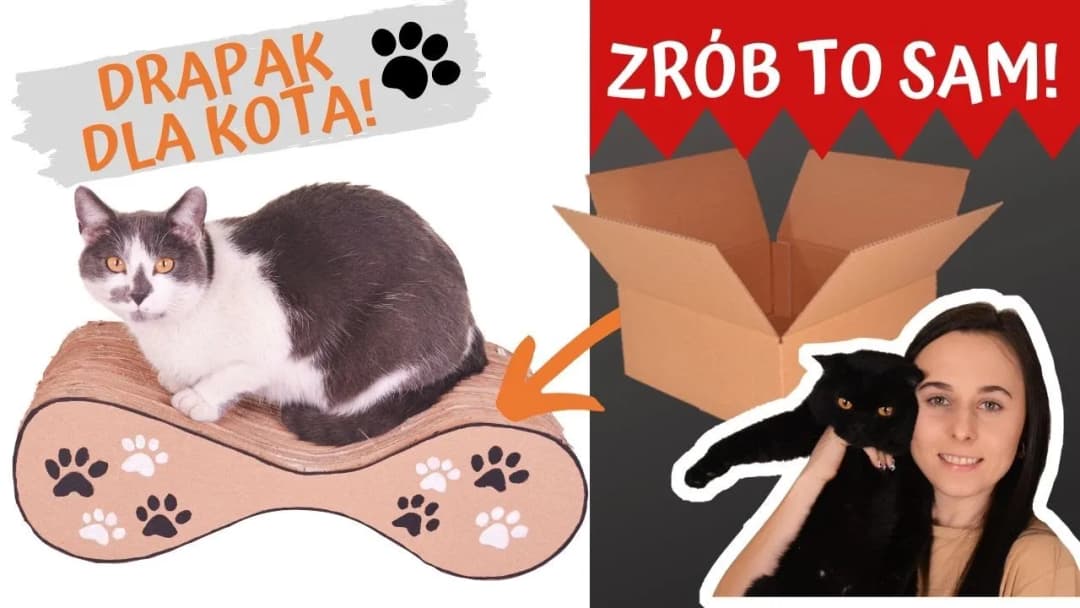 Tani drapak dla kota z kartonu. Prosty sposób na domową zabawkę, która zachwyci twojego pupila