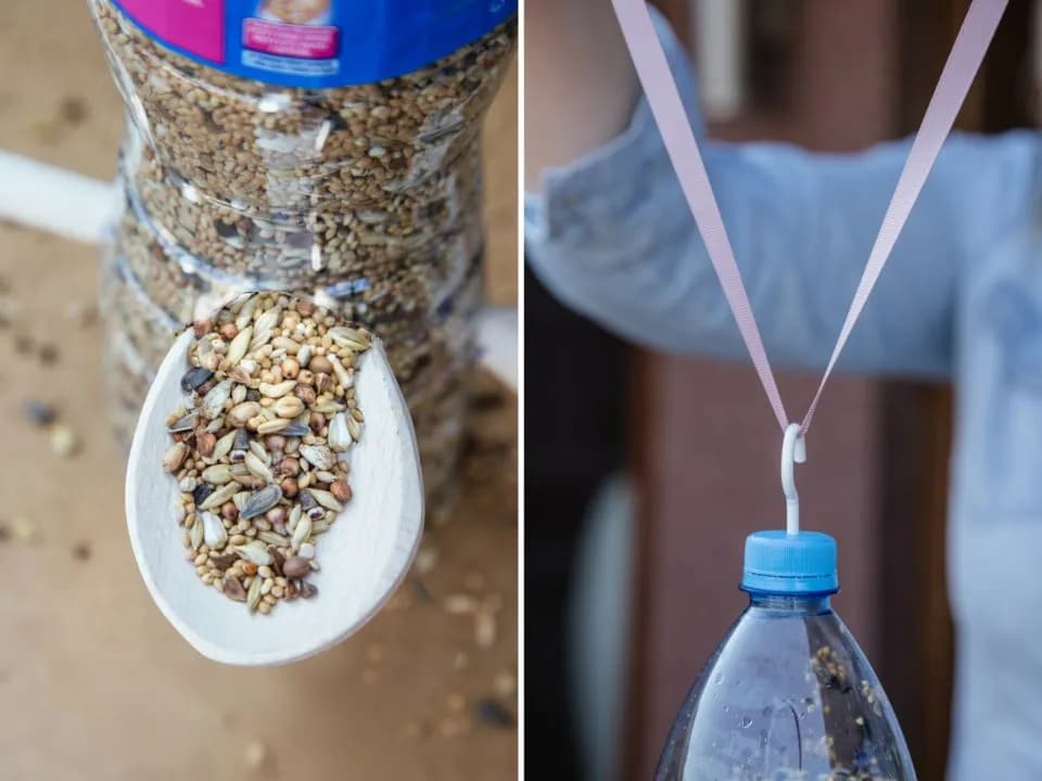 Prosty karmnik z butelki 5l. Zaskakująco łatwy sposób dla każdego