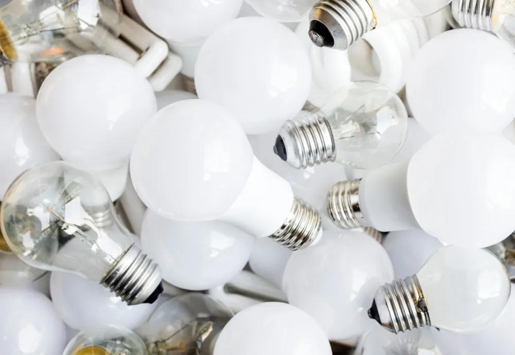Gdzie wyrzucamy żarówki i elektrośmieci? Skuteczne rozwiązania z Eco Harpoon Recycling